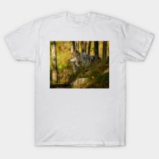 Timber Wolf T-Shirt